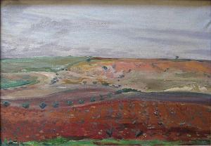 PAYSAGE D'ORAN